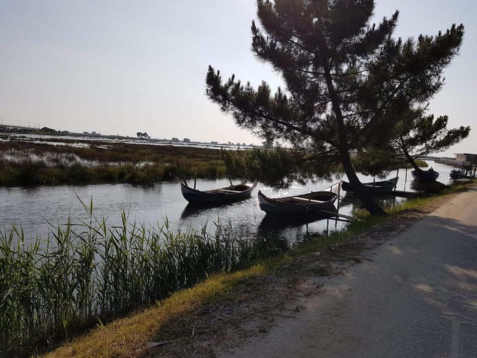 Casa Da Ribeira Lägenhet Aveiro Exteriör bild